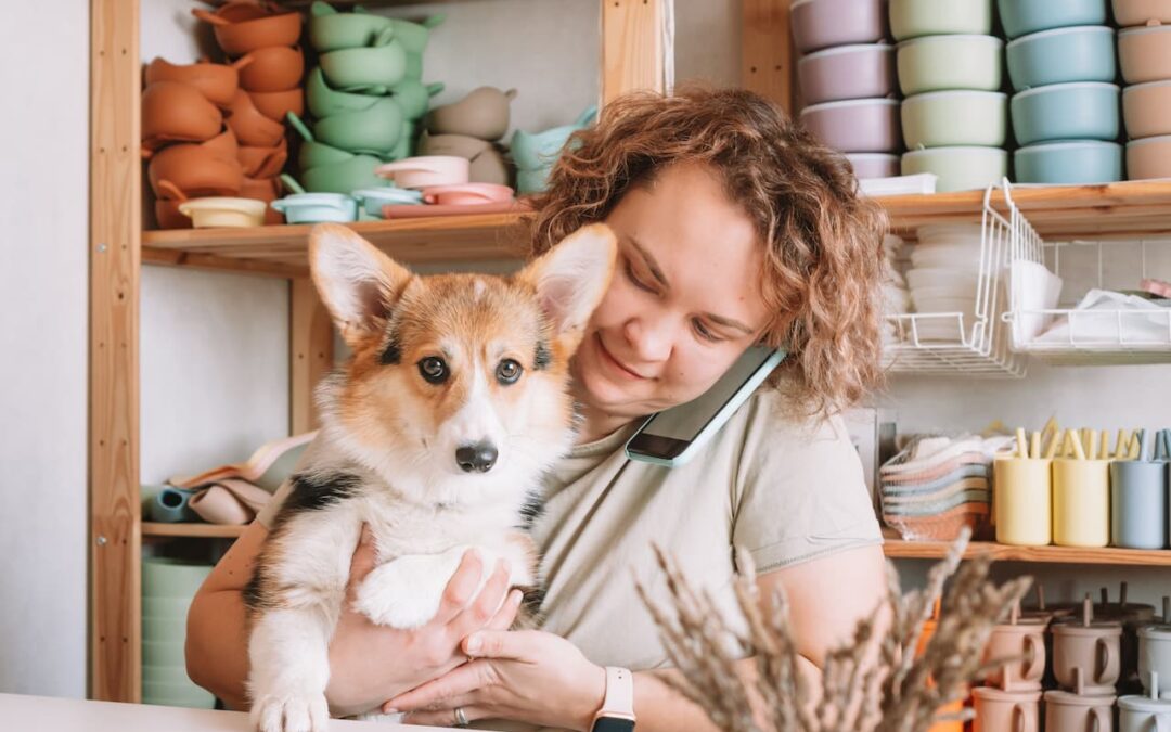 Are Corgis High-Maintenance Dogs?